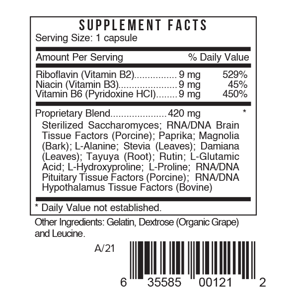 Systemic Formulas B – Brain