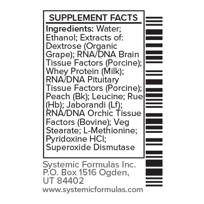 Systemic Formulas CXGb – Pituitary/Pineal
