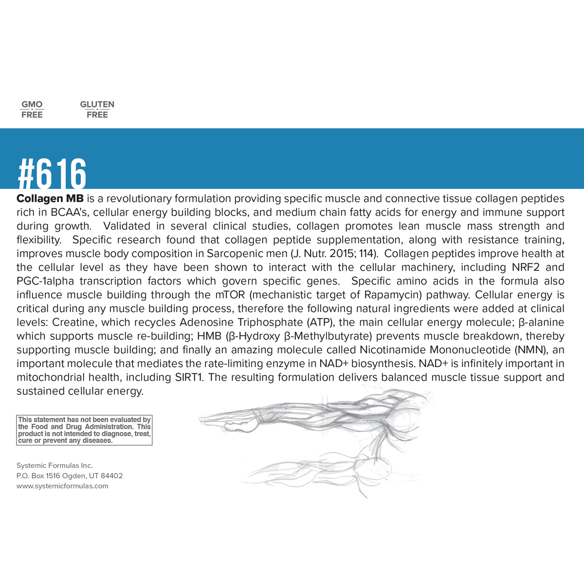 Systemic Formulas Collagen MB