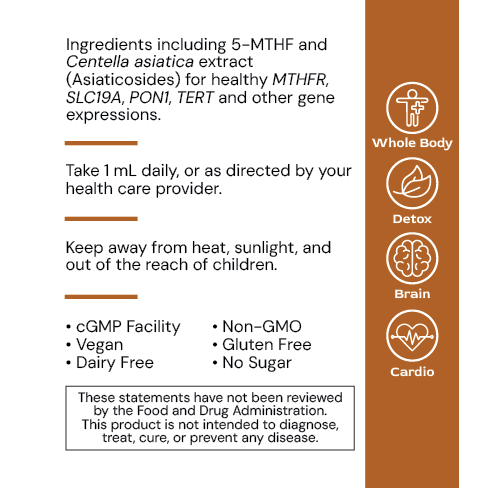 Alimentum Labs Liposomal MethylGenic