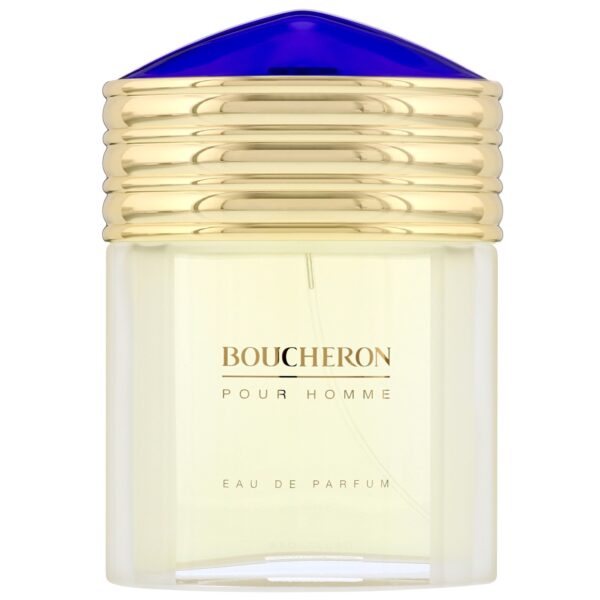 boucheron-boucheron-eau-de-toilette-for-men-100-ml-1670946112