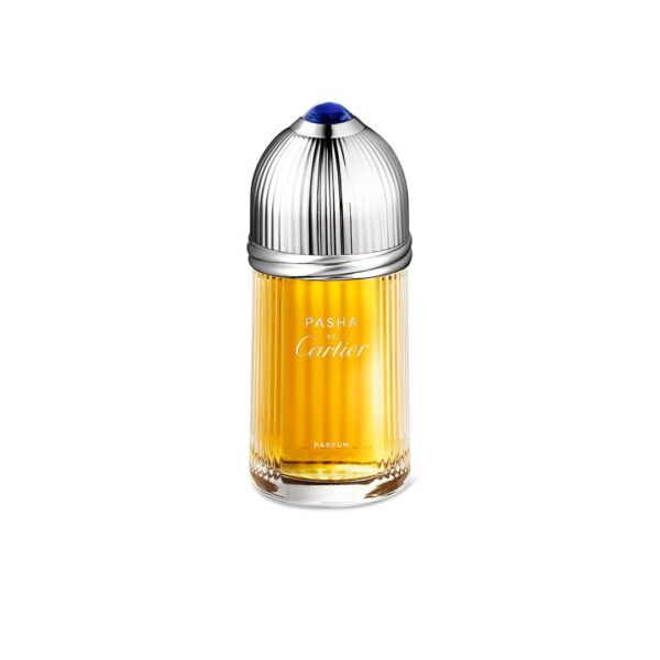 cartier-pasha-de-cartier-parfum-for-men-100-ml-1702217668
